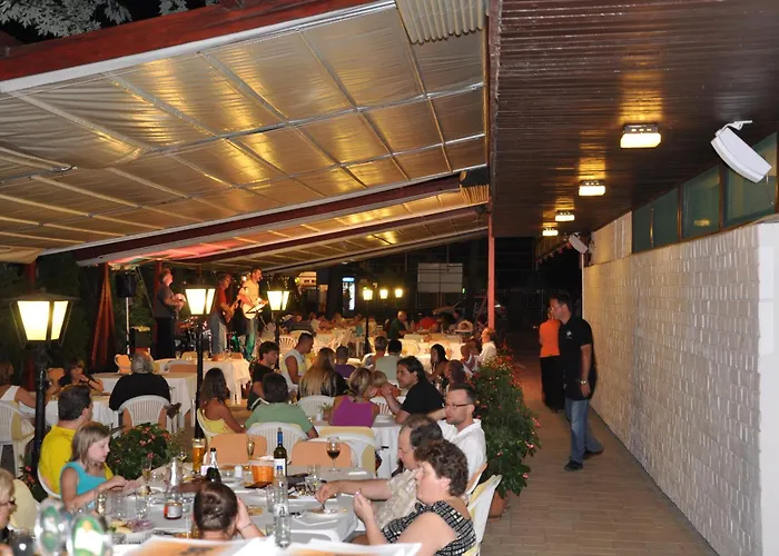 Melis バラトンレッレ